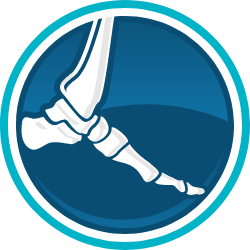 ارتوپد پارس